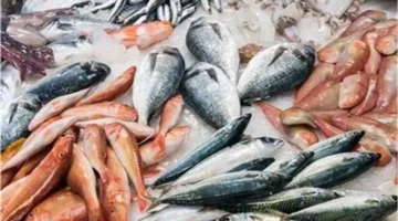 أسعار الأسماك اليوم في سوق العبور للجملة وتغيراتها وتأثيرها على المستهلكين